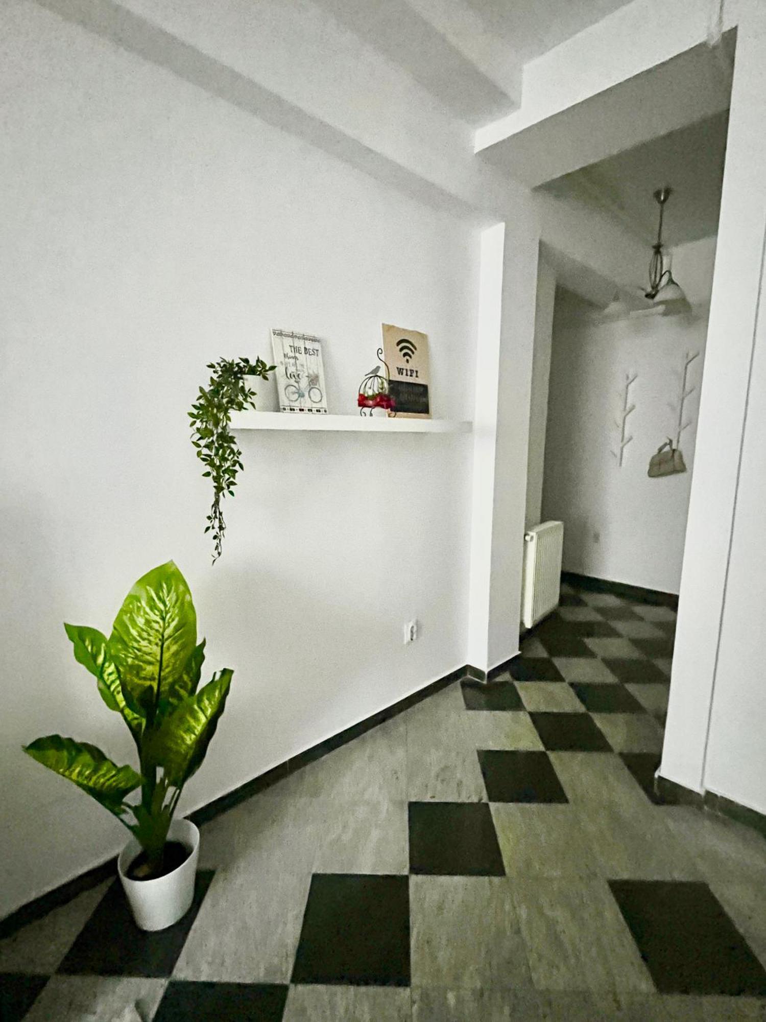 Victoriei Spacious Studio Bukurešť Exteriér fotografie