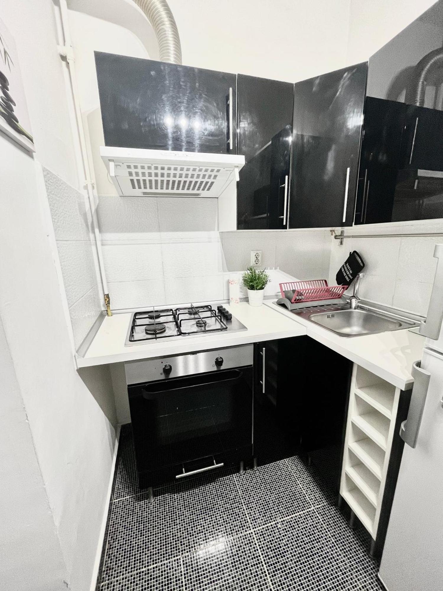 Victoriei Spacious Studio Bukurešť Exteriér fotografie
