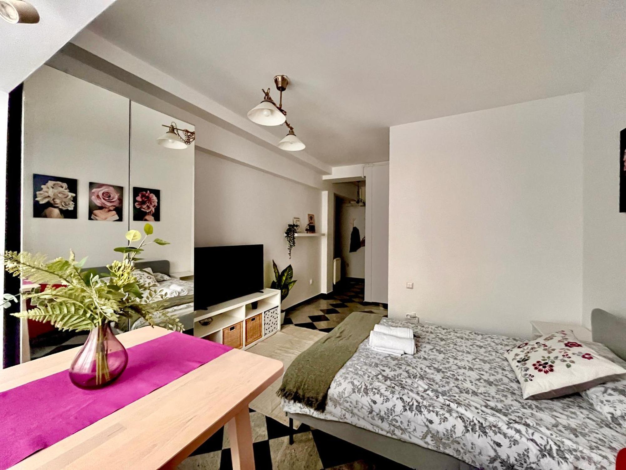 Victoriei Spacious Studio Bukurešť Exteriér fotografie